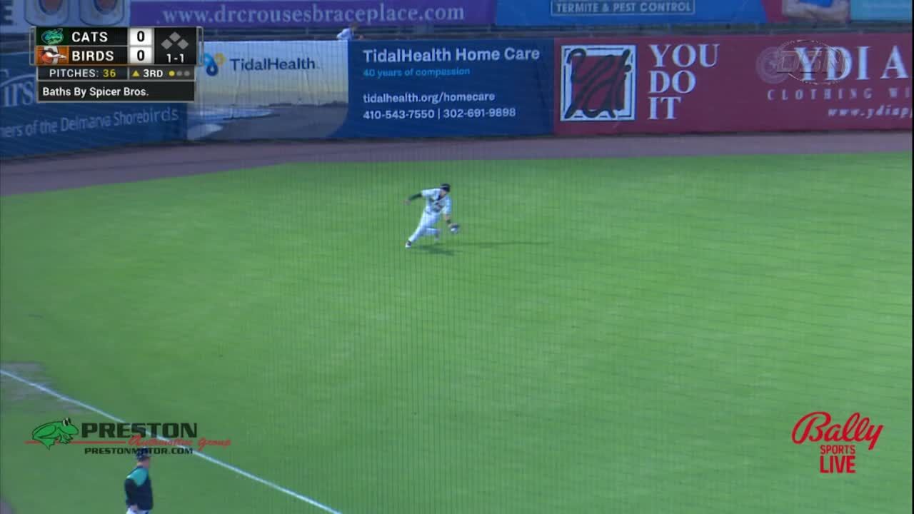 HIGHLIGHTS: The Delmarva Shorebirds Fall To The Lynchburg Hillcats 2-1.
